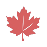 红枫云盘最新版