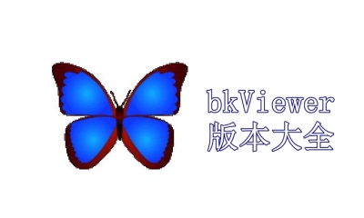 bkViewer版本大全