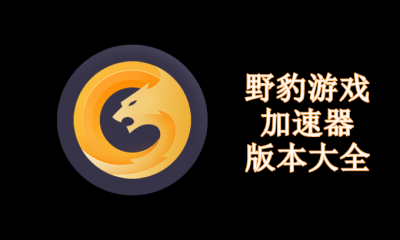 野豹游戏加速器版本大全