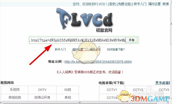 《硕鼠FLV》视频下载软件