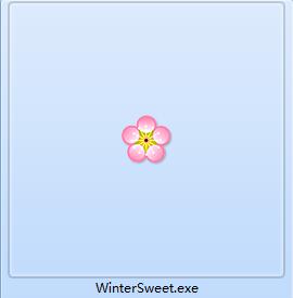 梅花英汉双语词典