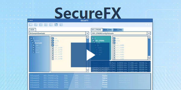 SecureFX9.0