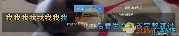 yy伴侣虚拟视频v4.0.1.3