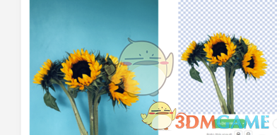 removebg最新版v1.4.2 	