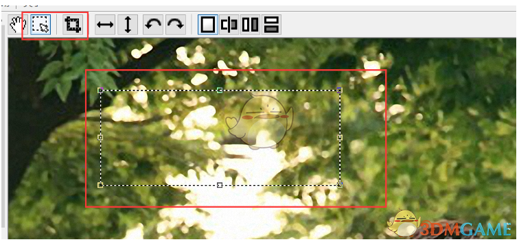 PhotoZoom中文版v8.0