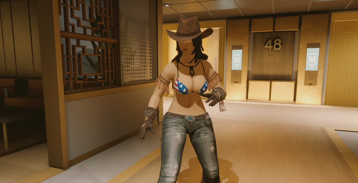 《师父》死或生4缇娜mod