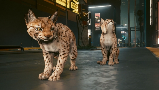 《赛博朋克2077》猞猁宠物MOD