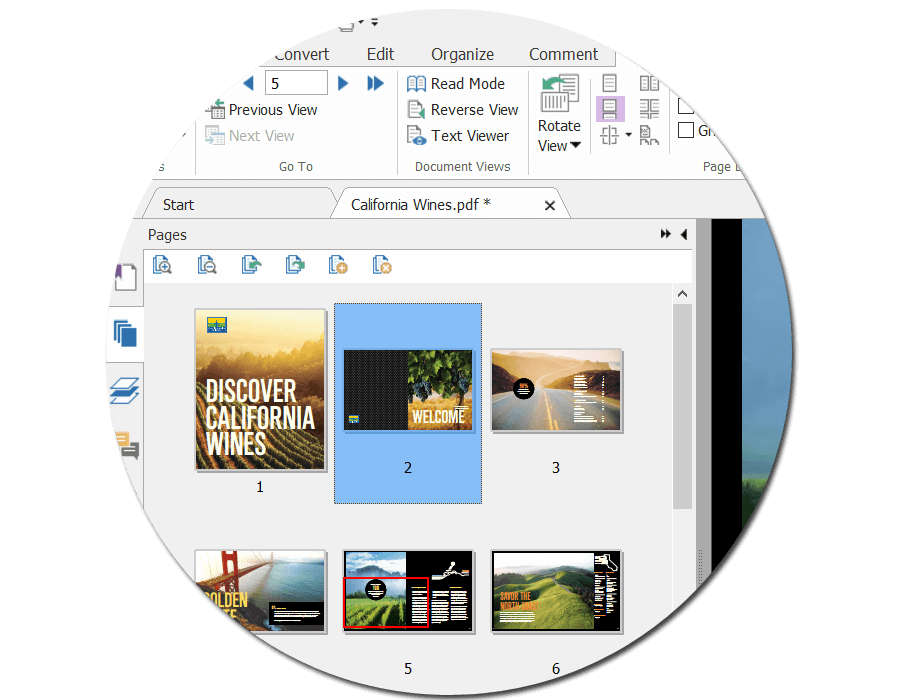 福昕PDF编辑器专业版12.1.3.15356（Full_Bundle）