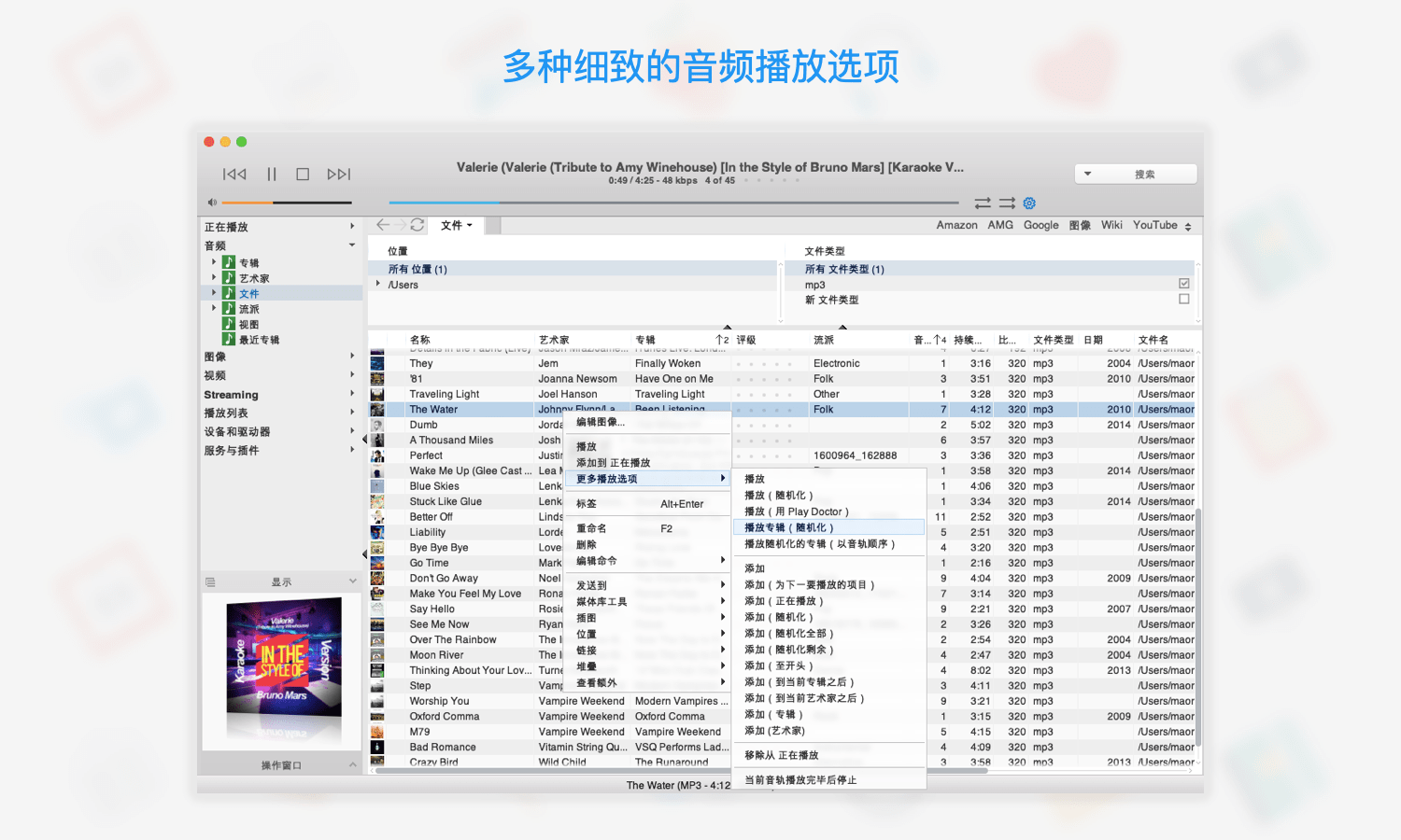 JRiver Media Center310043x64