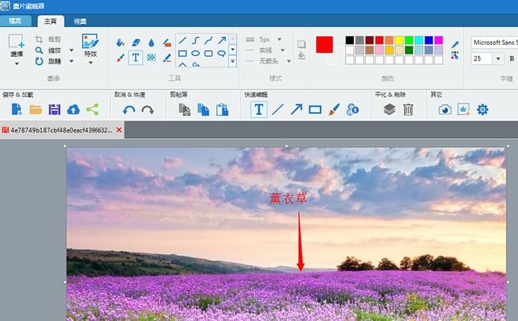 专业截屏王1.1.1.2