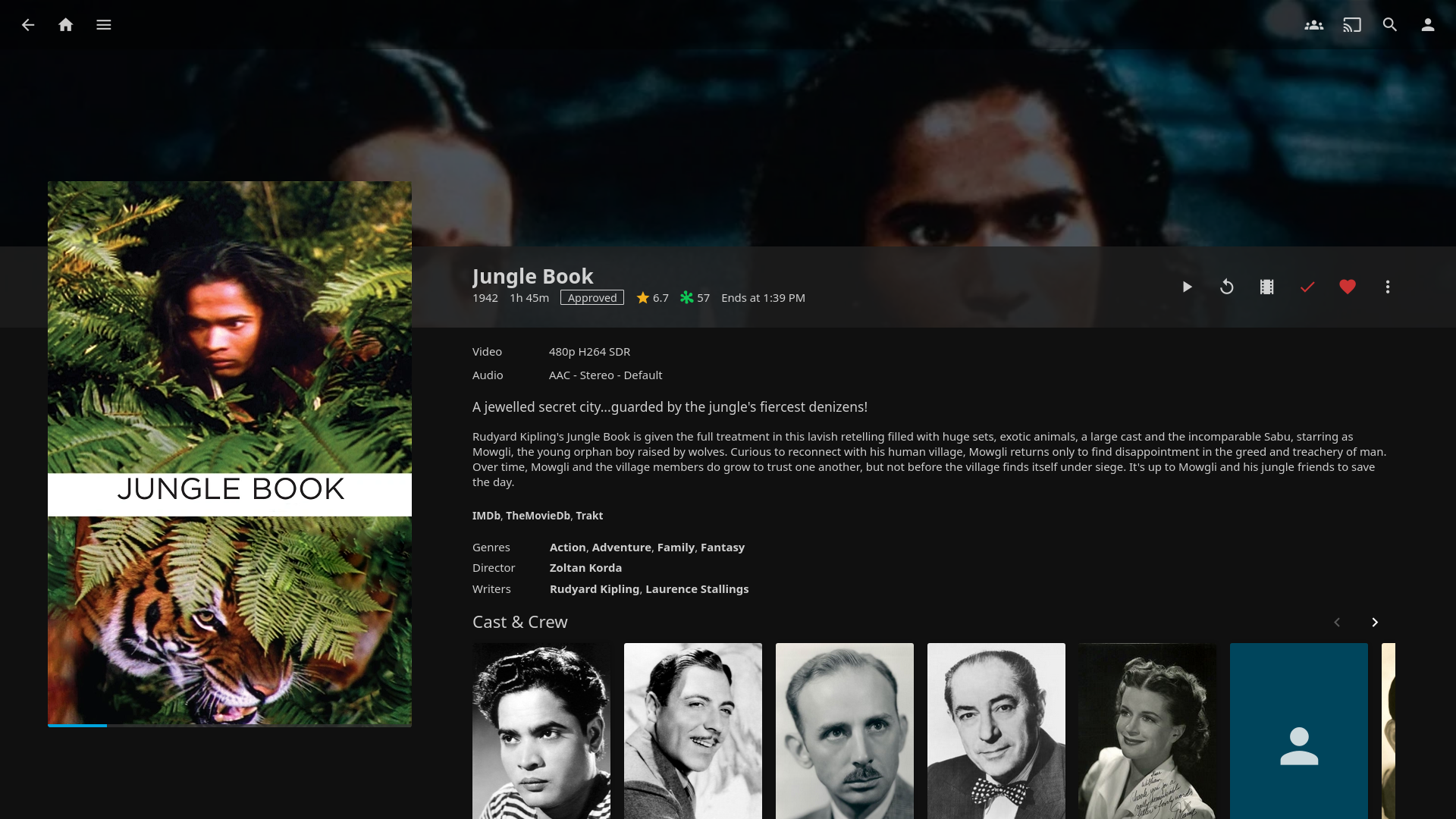 Jellyfin10.8.12-web_便携版