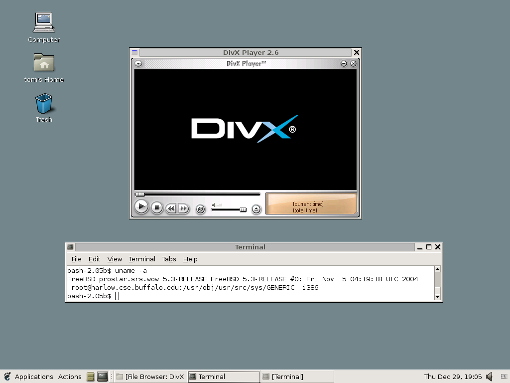 DivX Player10.10.1.0x32位