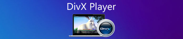 DivX Player10.10.1.0x32位