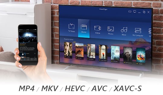 PowerPlayer 365 基本版3.0.0.5208