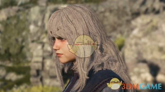 《龙之信条2》长发 12号发型MOD