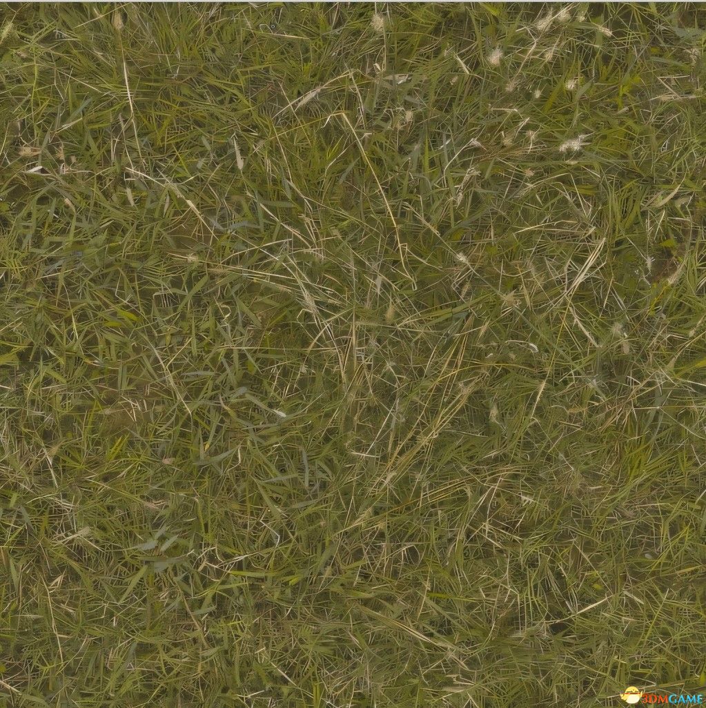 《龙之信条2》高清材质补丁