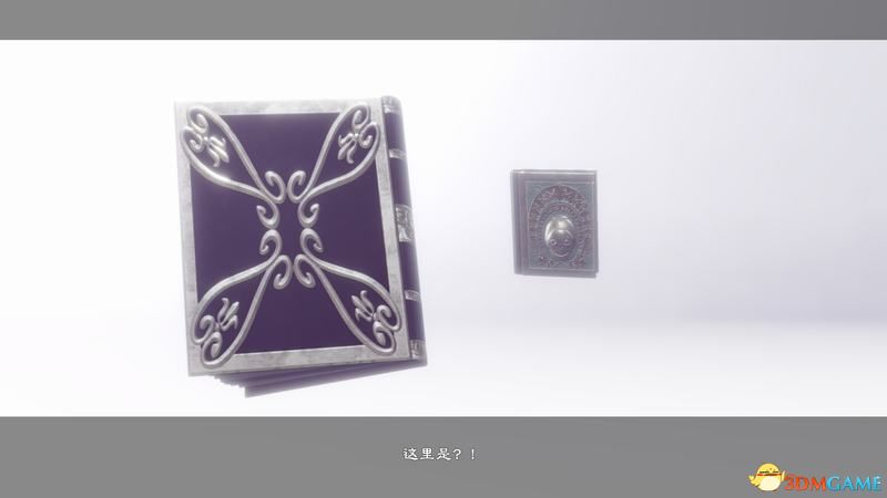 《尼尔：人工生命（复制体）》图文全攻略 全支线任务全结局全武器收集攻略