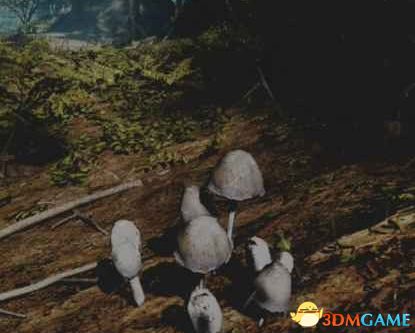 《往日不再》图文白金攻略 全支线任务全收集攻略