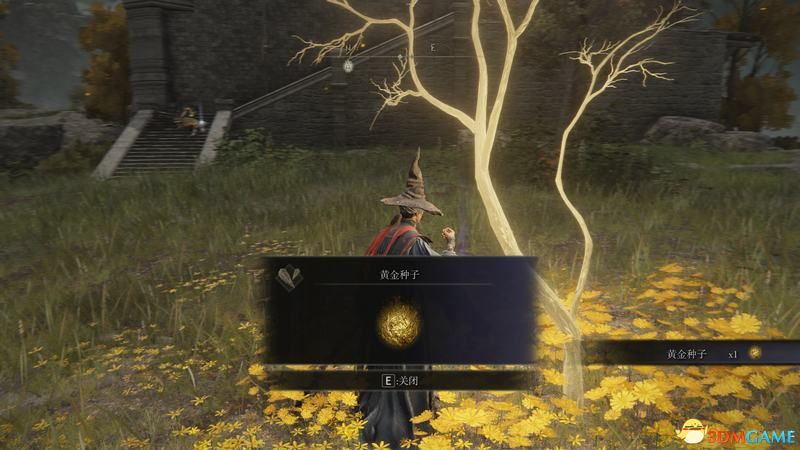 《艾尔登法环》图文全剧情流程攻略 全支线全收集全boss打法攻略