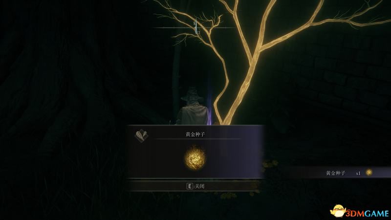 《艾尔登法环》史东薇尔城地图路线指引 地下空间隐藏boss攻略