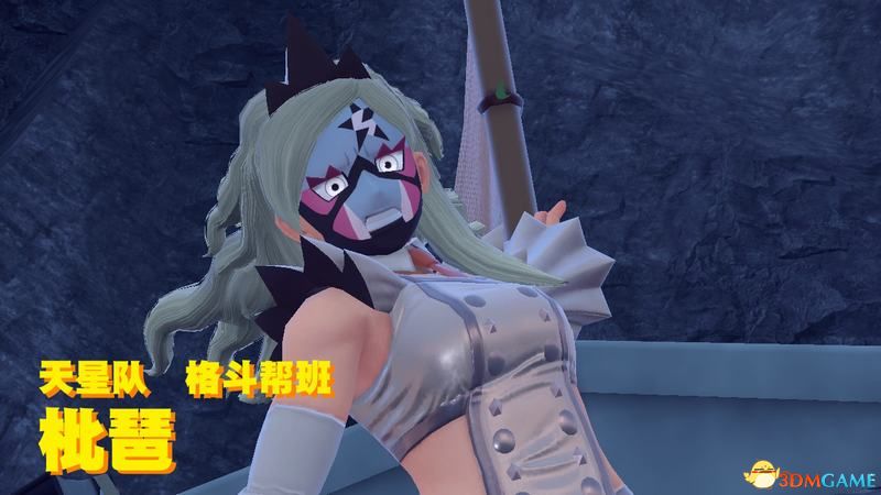 《宝可梦：朱紫》全剧情流程攻略 传说之路冠军之路星尘之路攻略