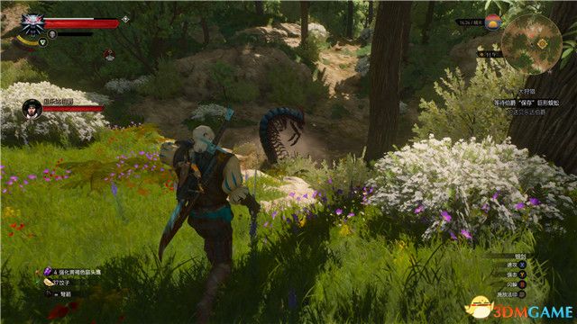 《巫师3：狂猎》全支线任务攻略 全隐藏支线任务全dlc支线攻略