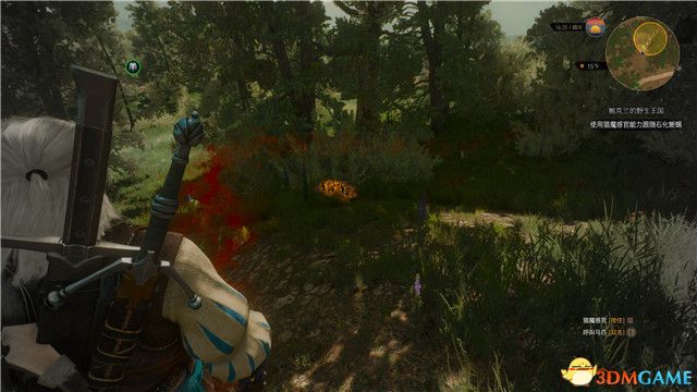 《巫师3：狂猎》全支线任务攻略 全隐藏支线任务全dlc支线攻略