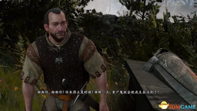《巫师3：狂猎》次世代攻略百科 全任务全结局全收集全DLC攻略