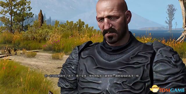 《巫师3：狂猎》次世代攻略百科 全任务全结局全收集全DLC攻略