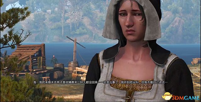 《巫师3：狂猎》次世代攻略百科 全任务全结局全收集全DLC攻略