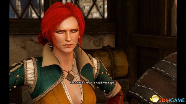 《巫师3：狂猎》次世代攻略百科 全任务全结局全收集全DLC攻略