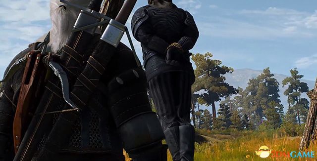 《巫师3：狂猎》次世代攻略百科 全任务全结局全收集全DLC攻略
