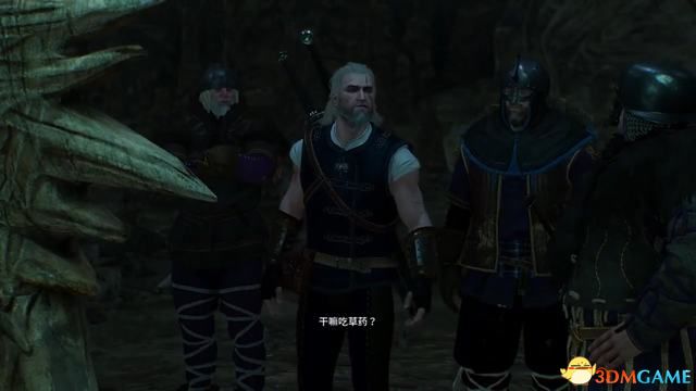 《巫师3：狂猎》次世代攻略百科 全任务全结局全收集全DLC攻略