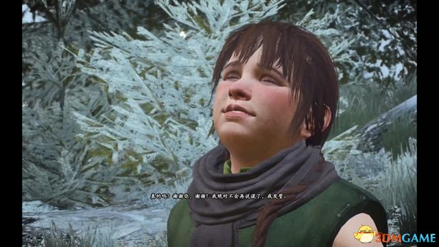 《巫师3：狂猎》次世代攻略百科 全任务全结局全收集全DLC攻略