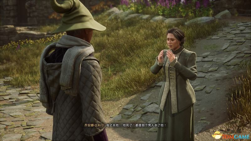 《霍格沃茨之遗》攻略百科 全流程全支线全收集攻略