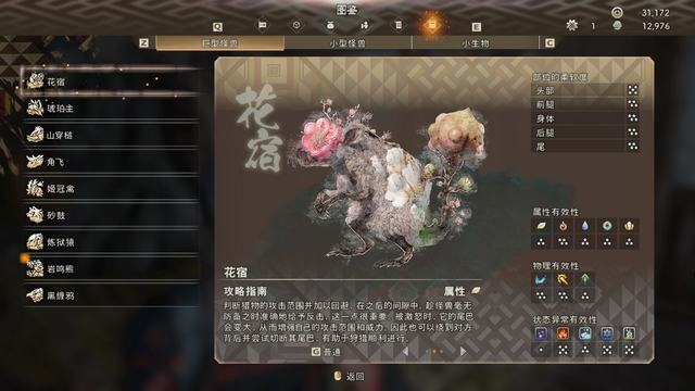 《狂野之心》图文攻略 全支线流程怪物打法及怪物图鉴