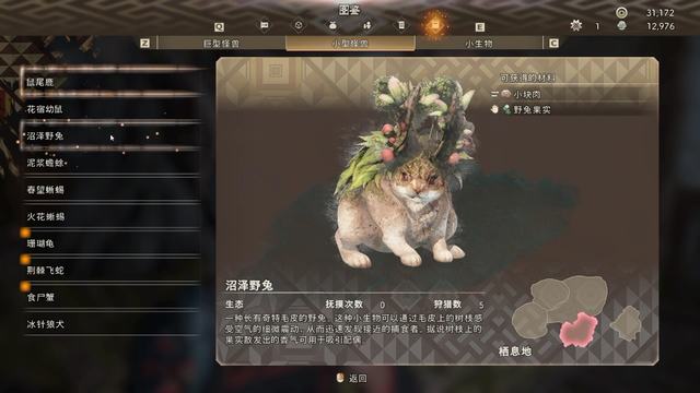 《狂野之心》图文攻略 全支线流程怪物打法及怪物图鉴
