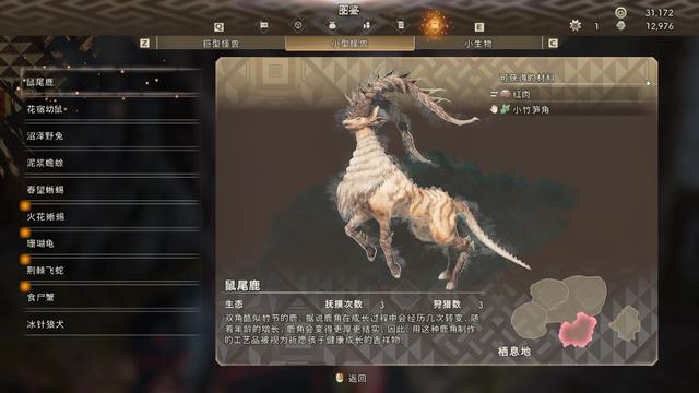 《狂野之心》图文攻略 全支线流程怪物打法及怪物图鉴