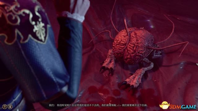 《博德之门3》攻略百科 全任务流程全地图指引及系统教程