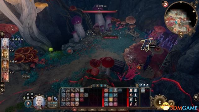 《博德之门3》攻略百科 全任务流程全地图指引及系统教程