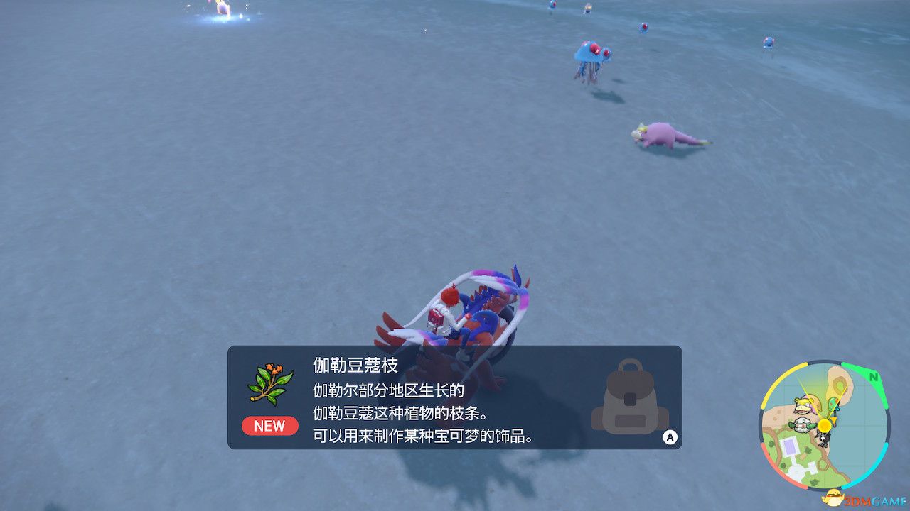 《宝可梦朱紫》蓝之圆盘攻略 全剧情支线全图鉴全要素收集攻略