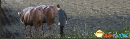 《庄园领主》全建筑一览 全建筑功能及详解图鉴