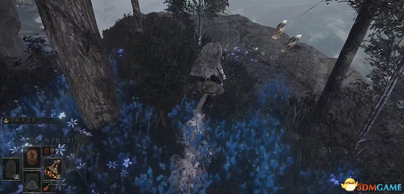 《艾尔登法环》图文全剧情流程攻略 全支线全收集全boss打法攻略