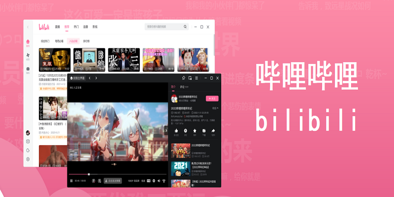 哔哩哔哩最新版