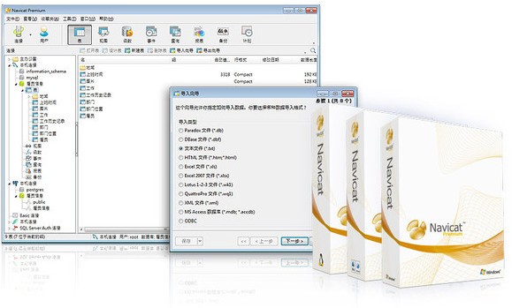 Navicat Premiumv11.2.11