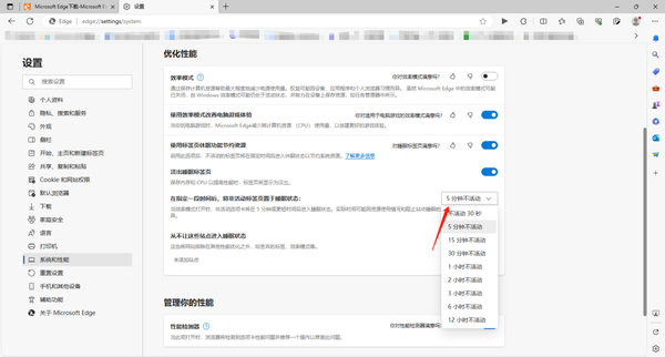 Edge浏览器标签页休眠功能在哪开启