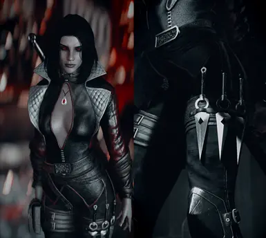 《上古卷轴5：天际重制版》女巫杀手服装MOD