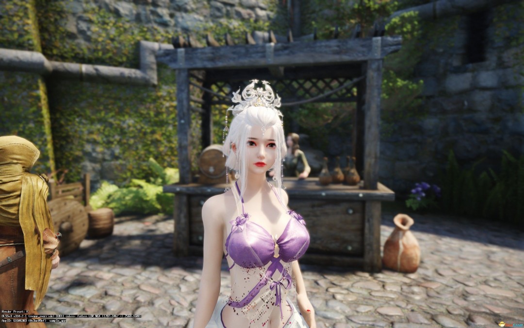 《上古卷轴5：天际重制版》独立女随从依MOD