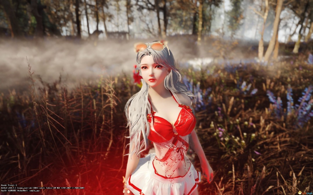 《上古卷轴5：天际重制版》独立女随从依MOD