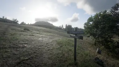 《荒野大镖客2》瓦伦丁MOD